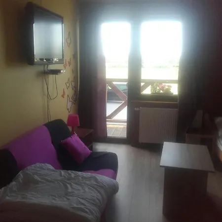 Pokoje I Domki Monika Villa Bedzino Exterior photo