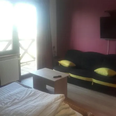 Pokoje I Domki Monika Villa Bedzino Exterior photo